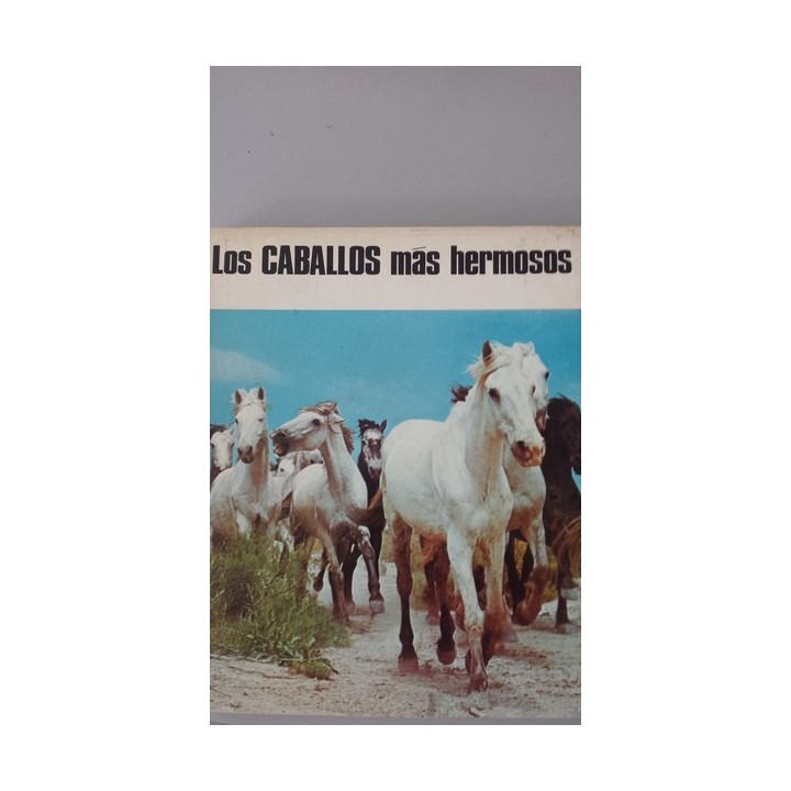 Los caballos más hermosos